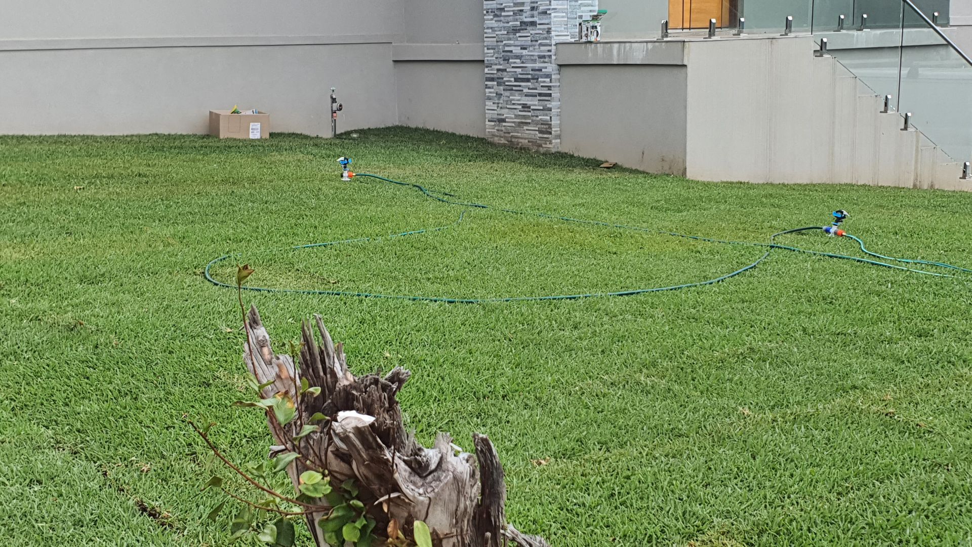 A large lawn with a stump in the middle of it.