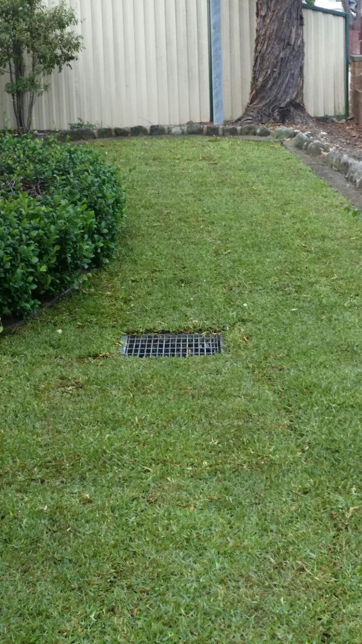 landscaping and gardening service