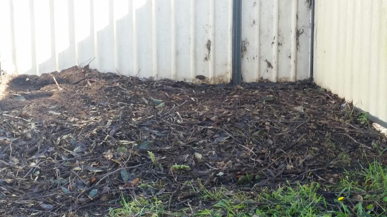 landscaping services before
