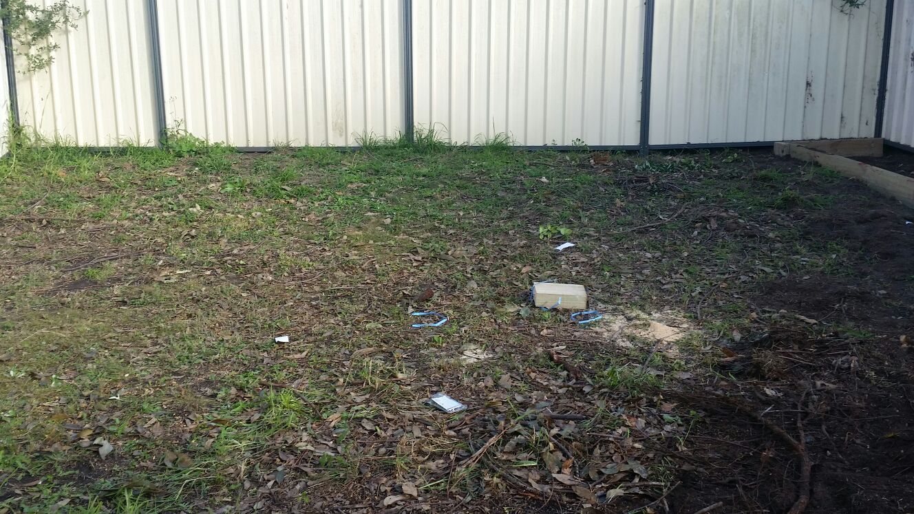landscaping and gardening service