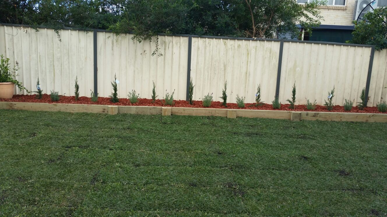 landscaping and gardening after