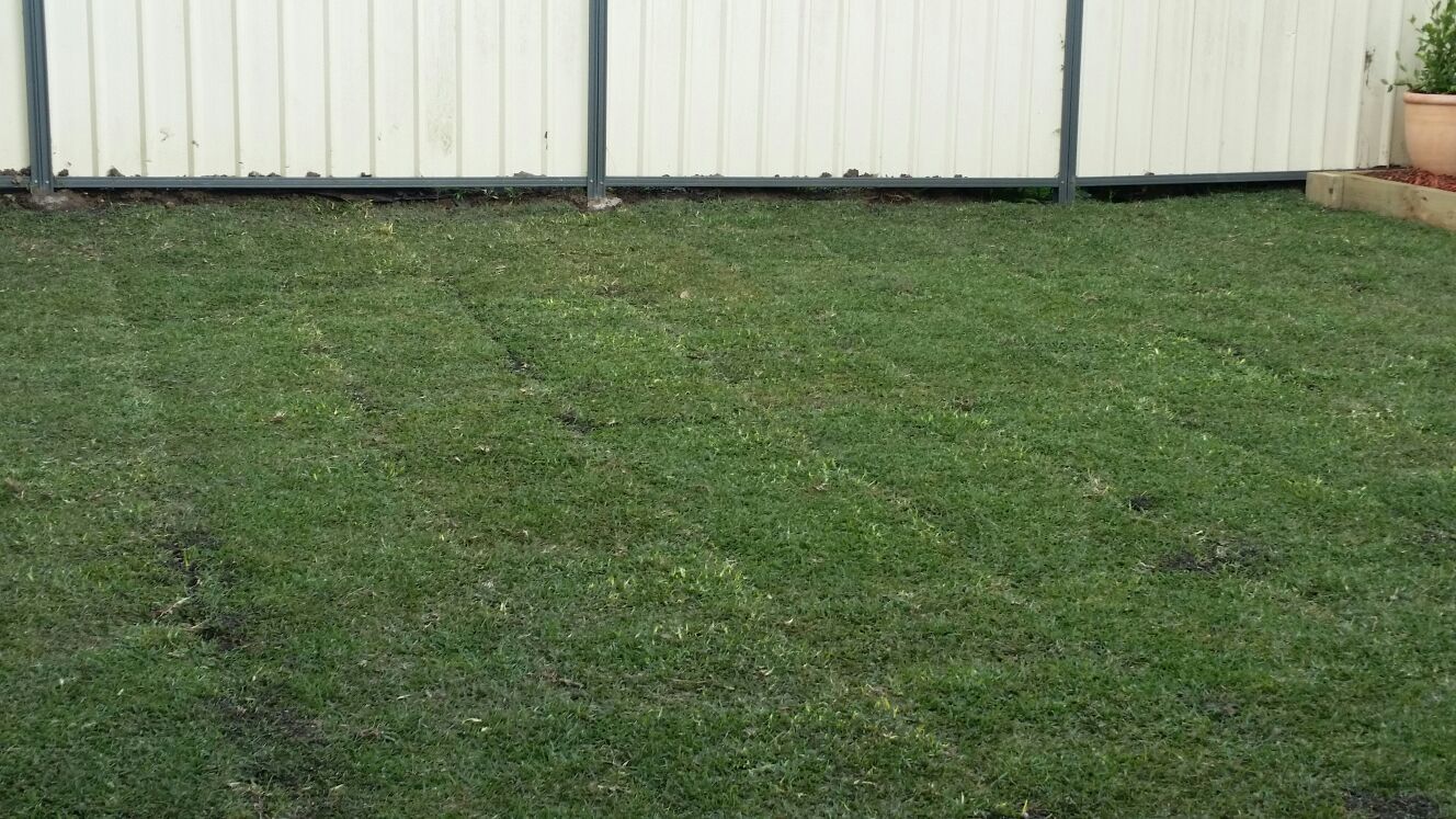landscaping and gardening services