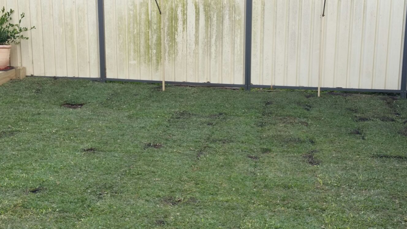 sydney landscaping services