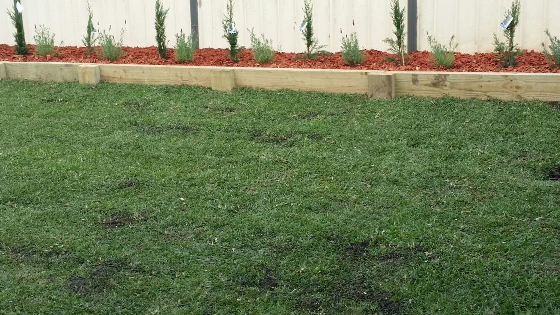 gardening service Sydney