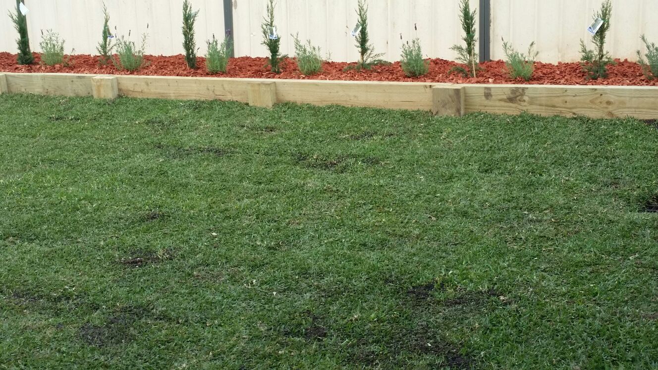 landscaping and gardening after