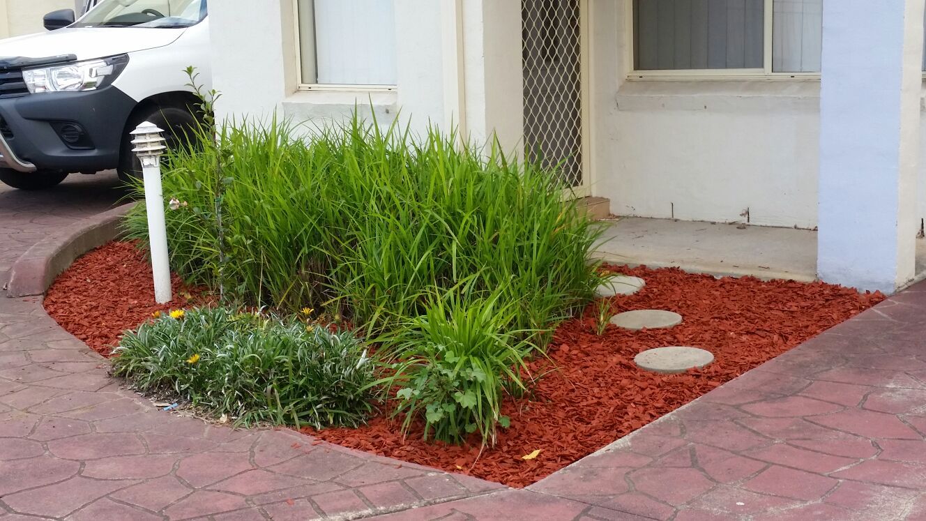 landscaping and gardening