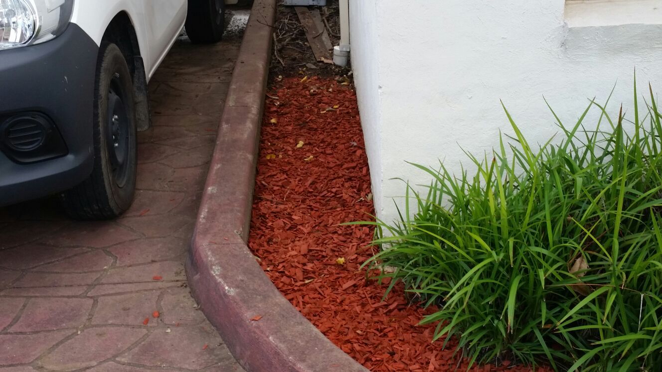 landscaping and gardening service