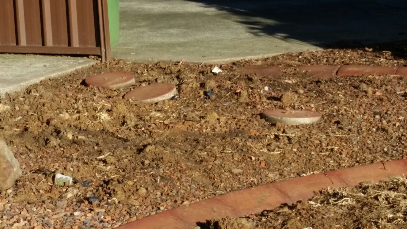 landscaping and gardening service