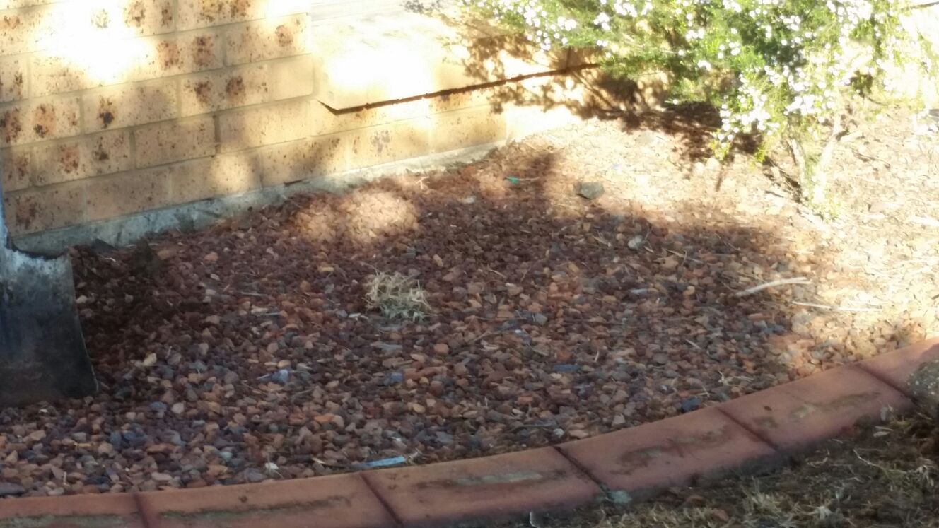 landscaping and gardening service