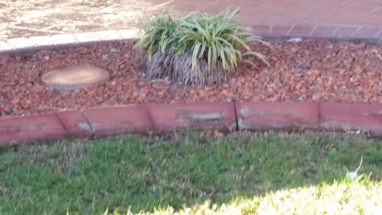 landscaping and gardening service
