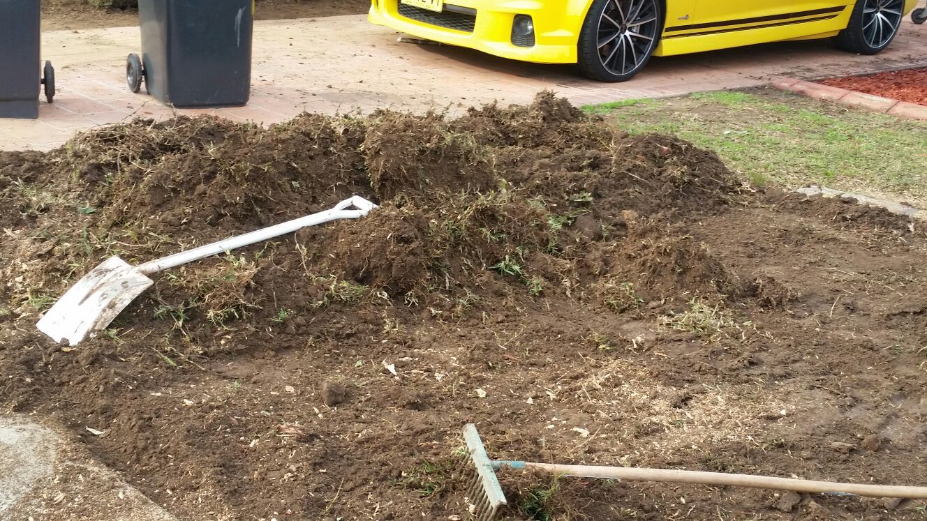 landscaping and gardening service