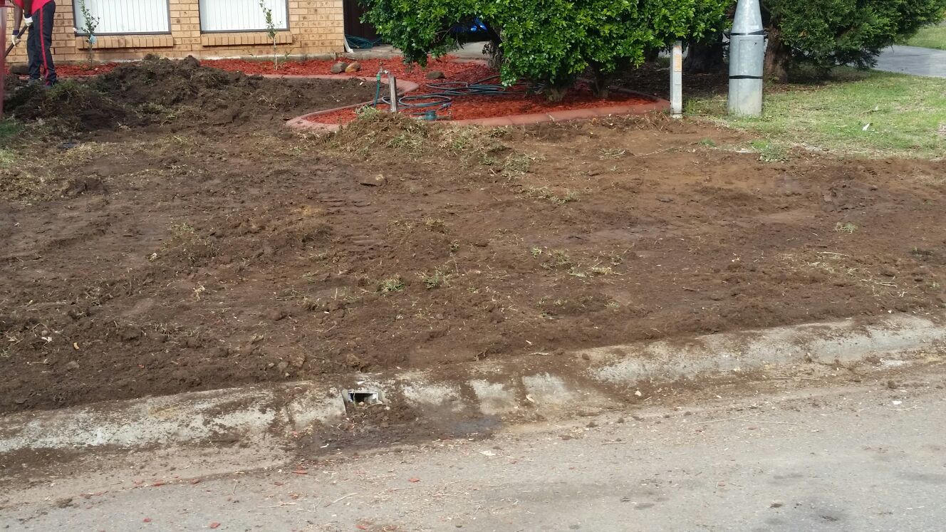 landscaping service