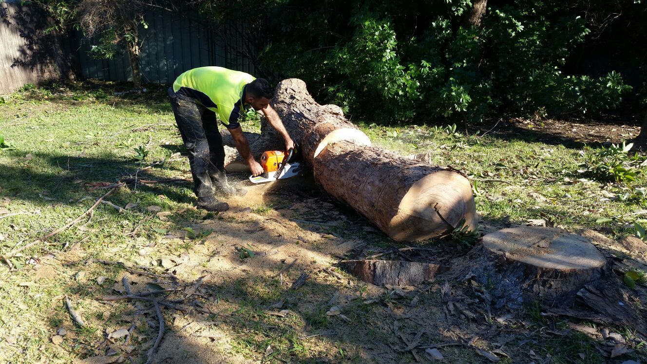 landscaping and gardening services Sydney;s