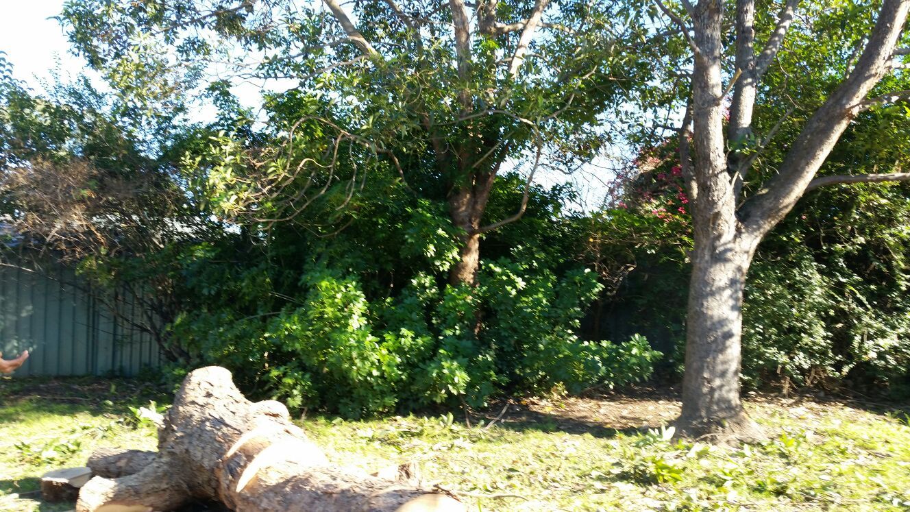 gardening services Sydney area