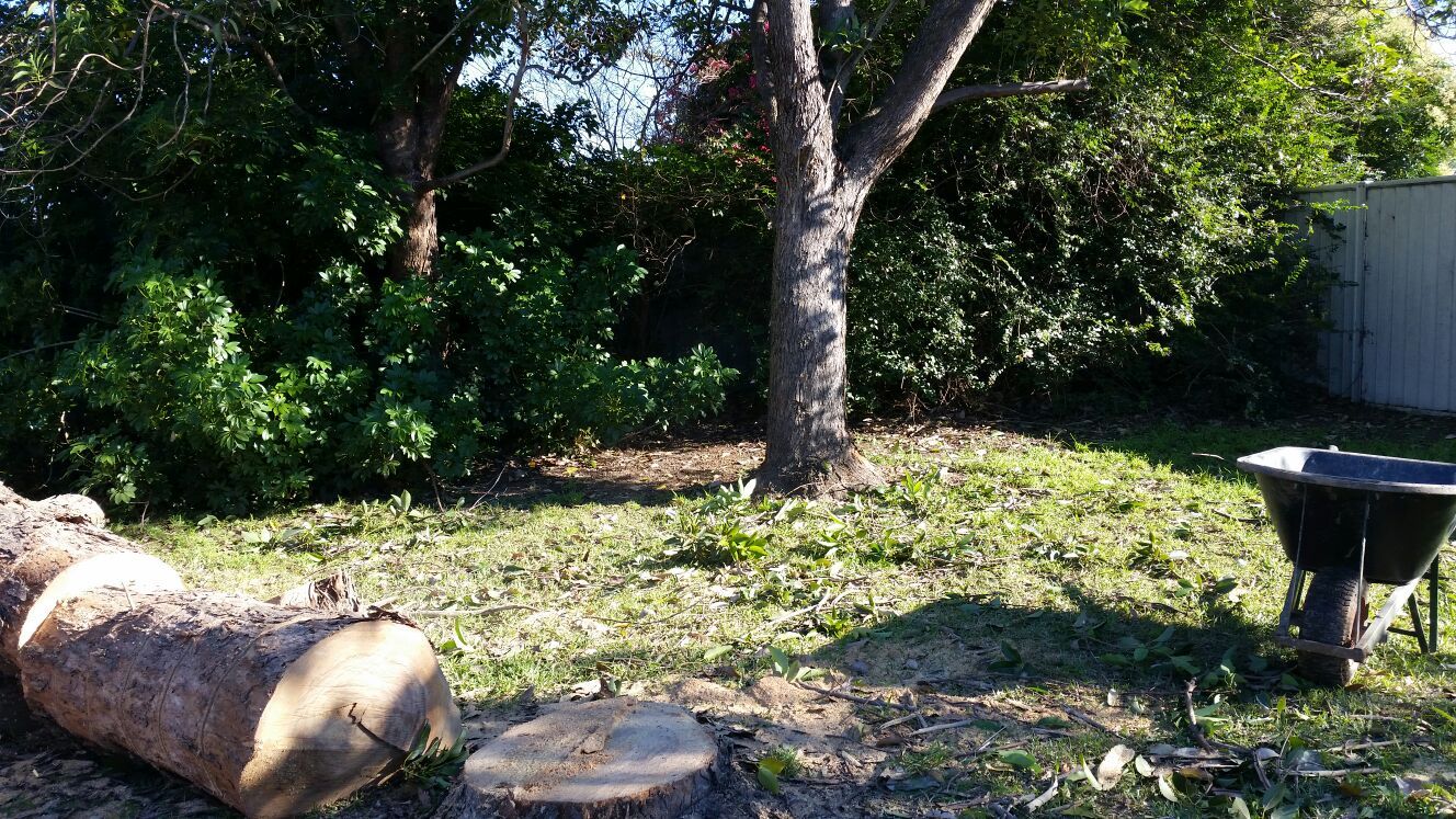 gardening  Sydney