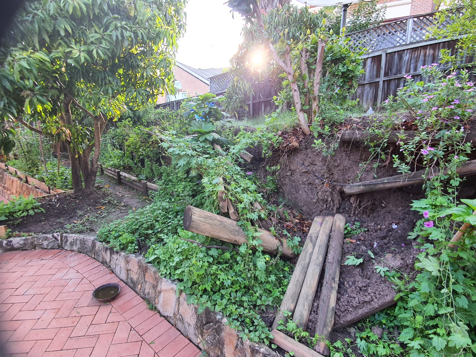 landscape management services