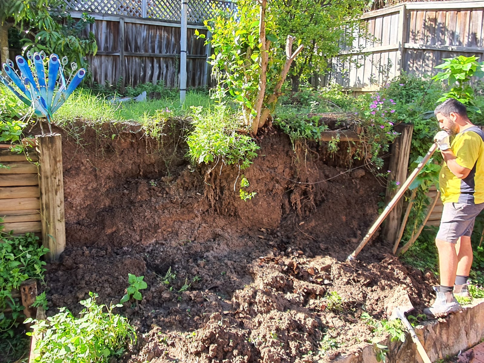 landscape management service