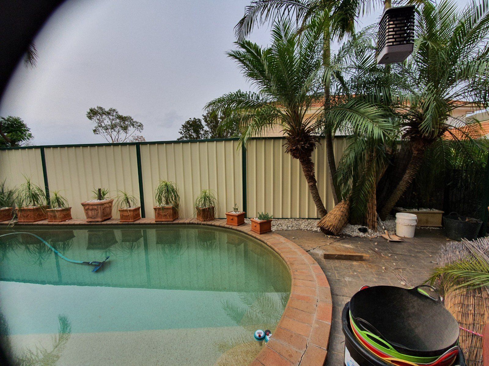 sydney landscape management services