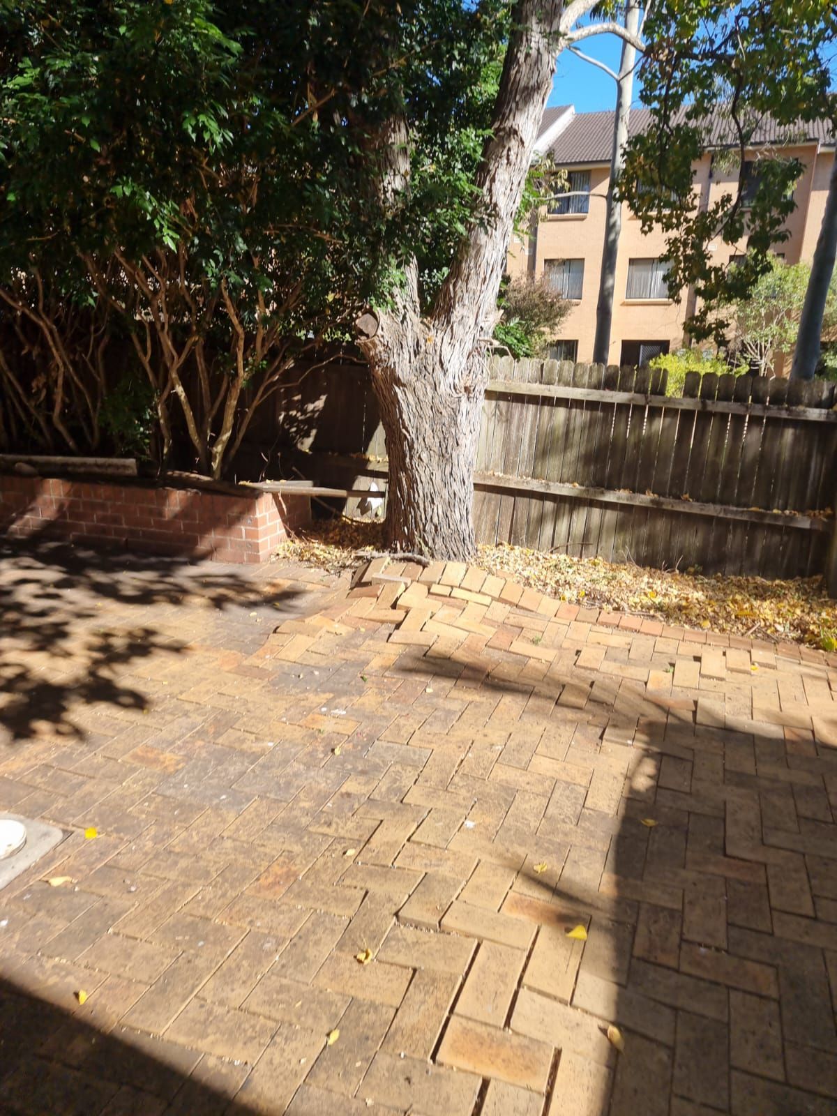 A brick patio with a wooden fence and a tree in the background.
