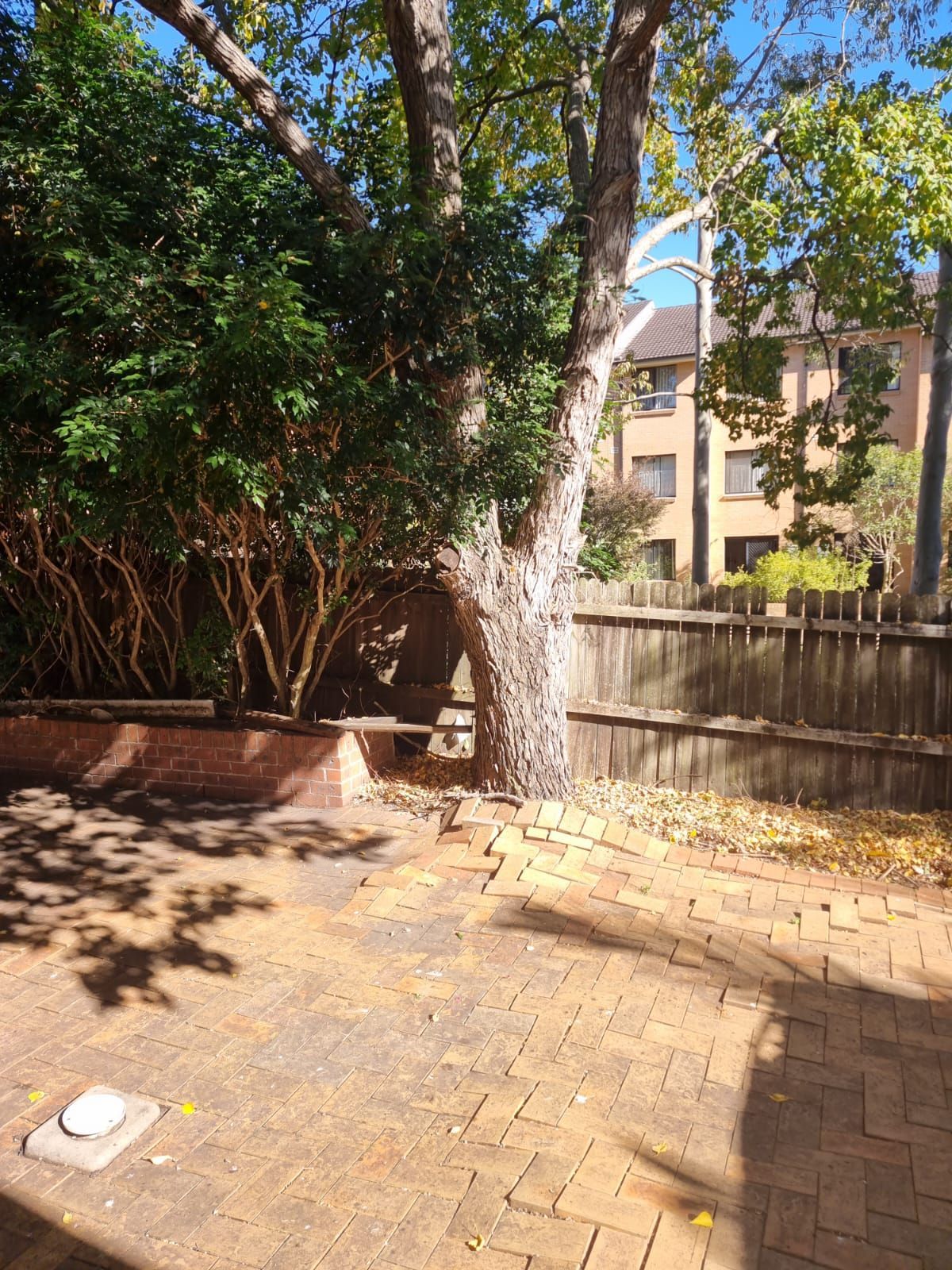 A brick patio with a tree and a fence in the background.
