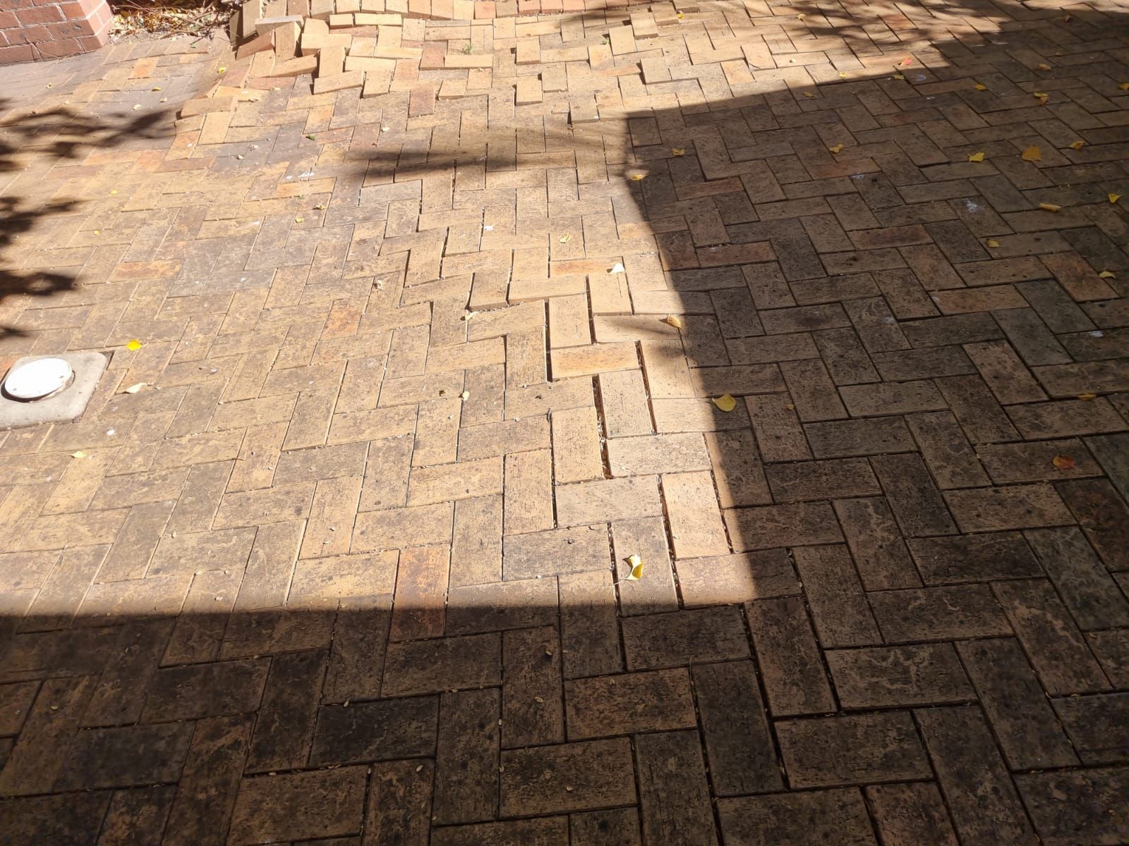 A shadow of a person is cast on a brick walkway.
