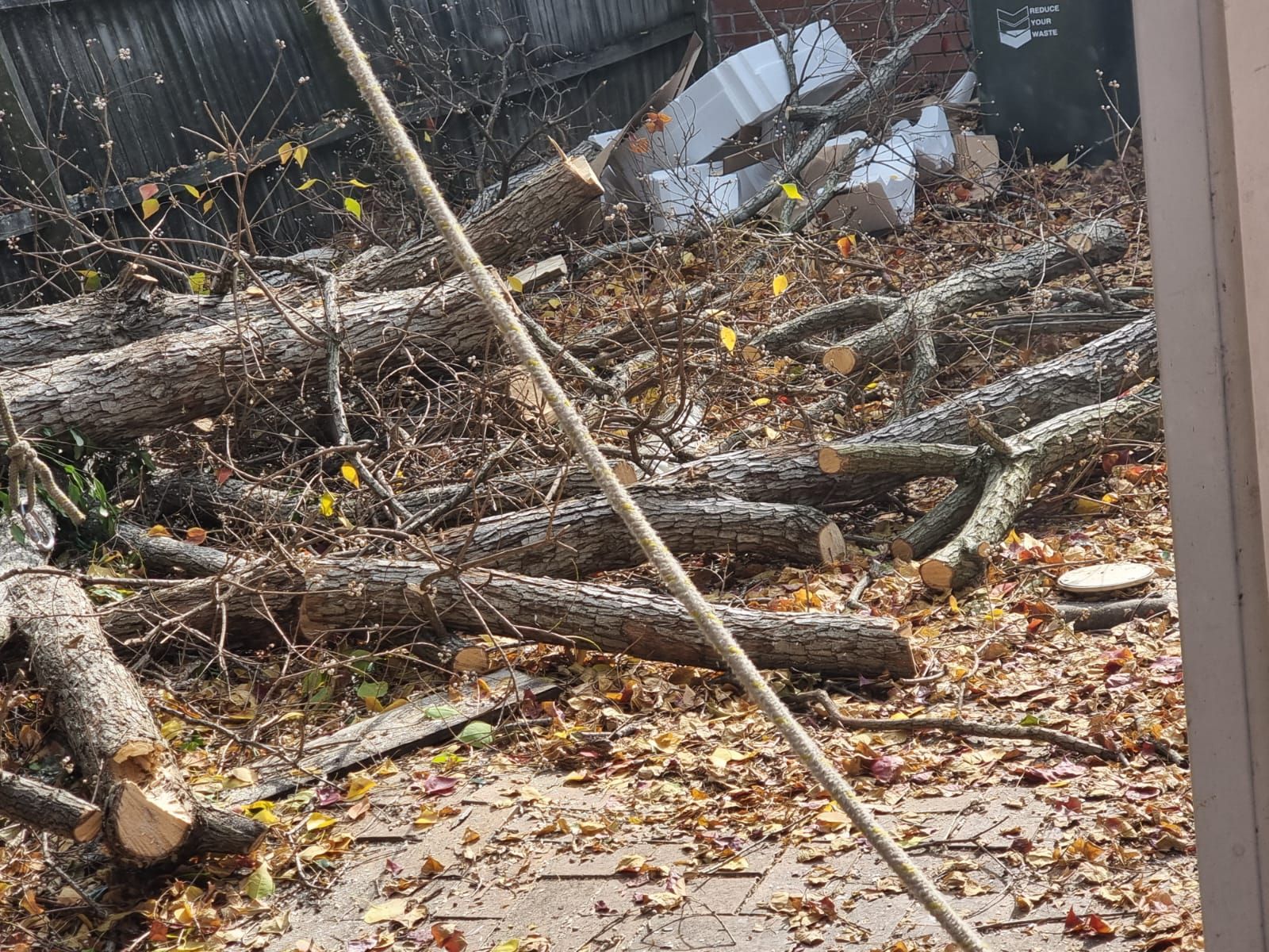 A bunch of logs are laying on the ground in a yard