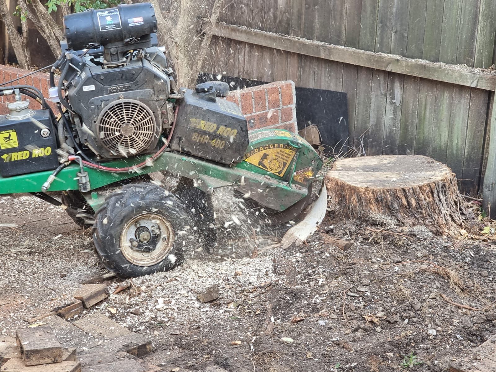 A stump grinder is cutting a tree stump in a yard.