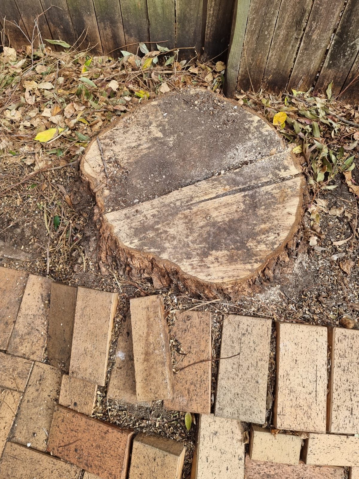 A tree stump is sitting on top of a brick walkway next to a wooden fence.