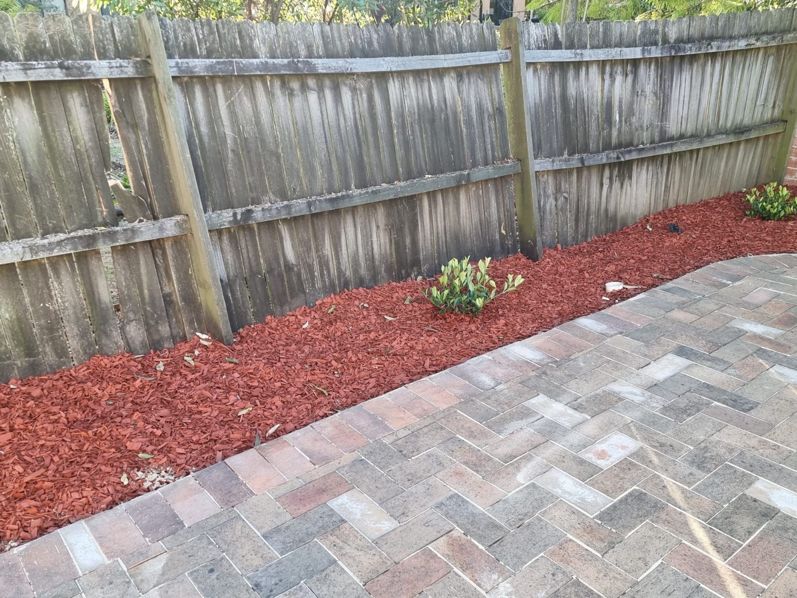 A wooden fence is surrounded by red mulch and bricks.