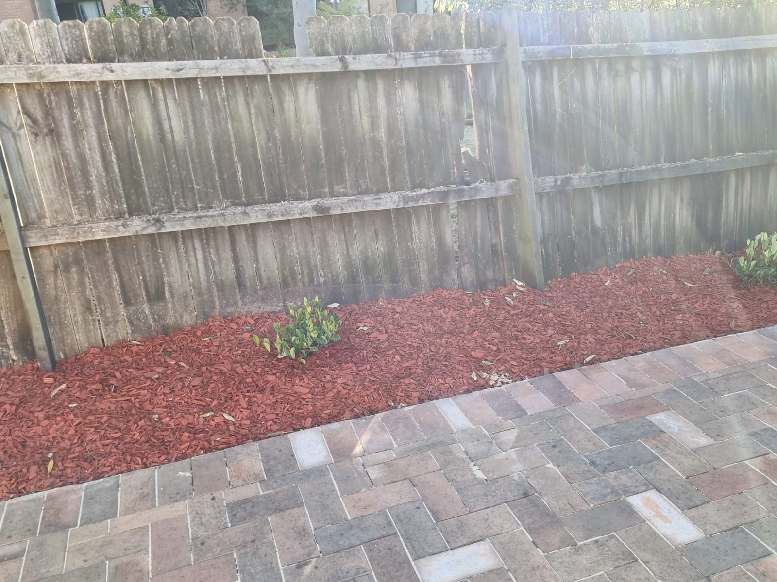 A wooden fence is surrounded by red mulch and bricks.