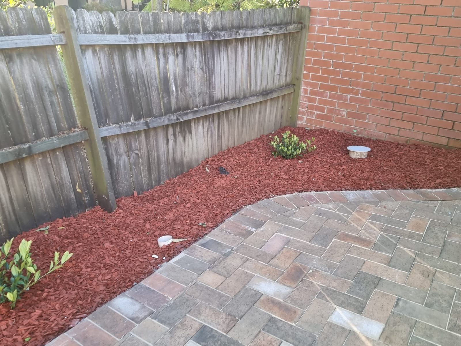 A wooden fence is behind a pile of red mulch