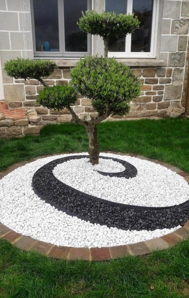 There is a tree in the middle of a circle of gravel.