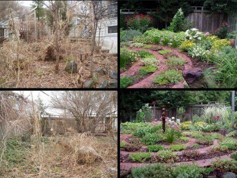 Garden makeovers