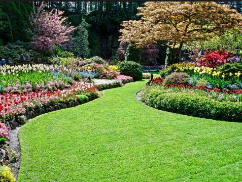 A lush green garden filled with lots of flowers and trees