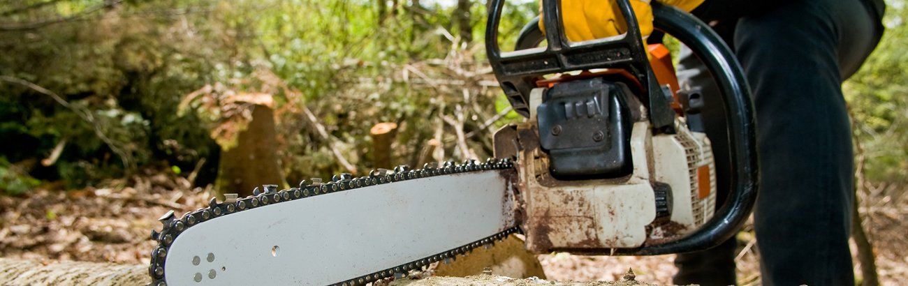 A person is using a chainsaw to cut a tree in the woods.