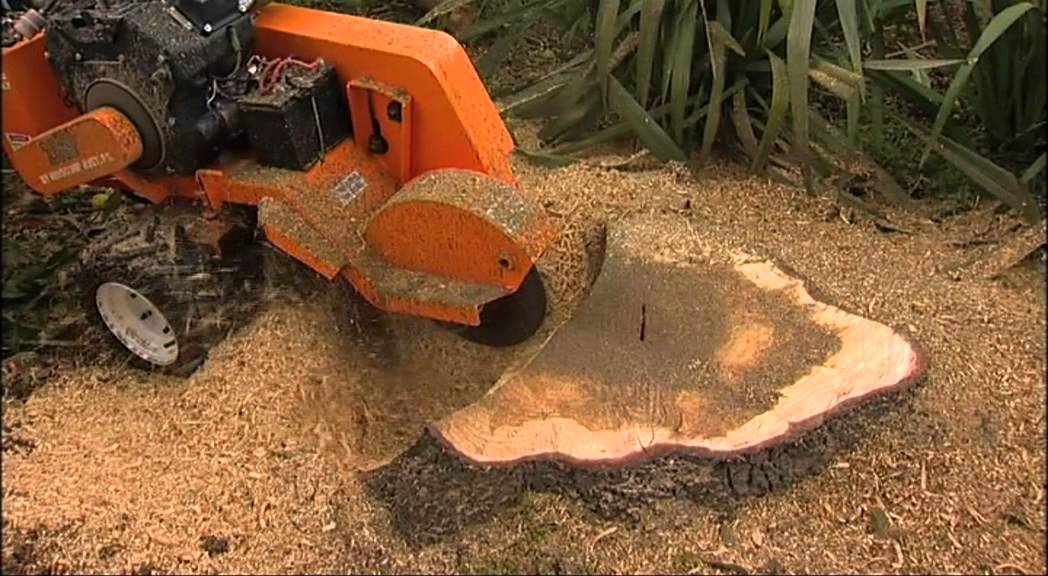 A tree stump is being removed by a machine.