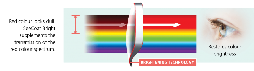 Nikon Brightness Diagram