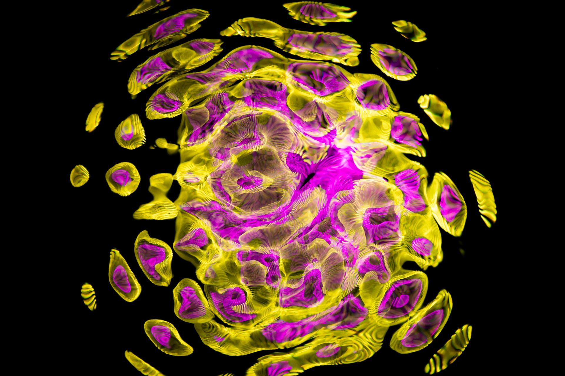 The good doctor take a deeper look at how gut health is connected to eye tissues.