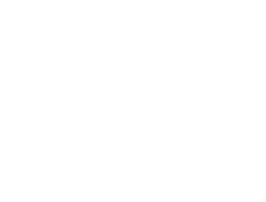 A white Black Diamond Roofing logo