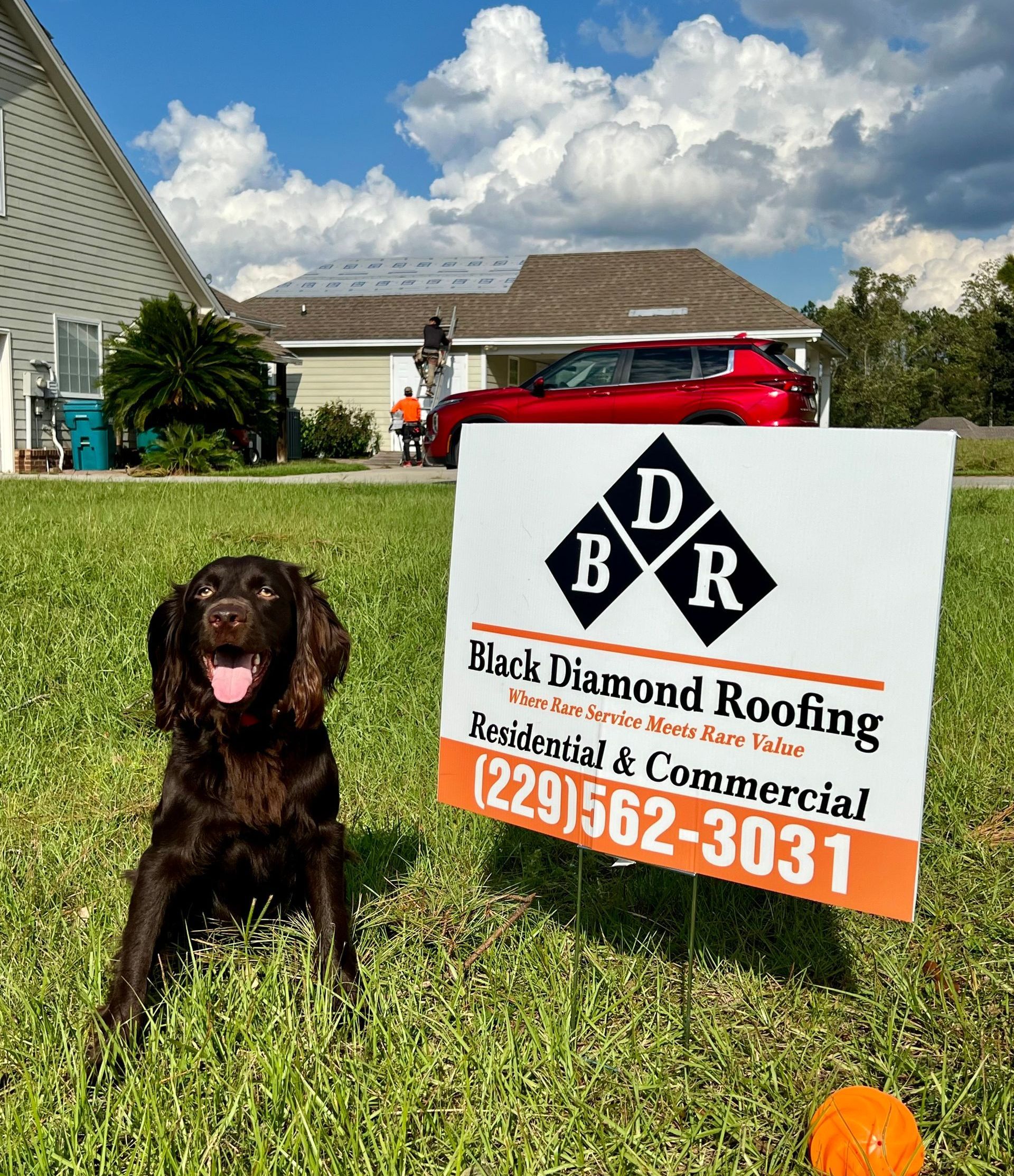 A dog is sitting in the grass next to a sign for black diamond roofing.
