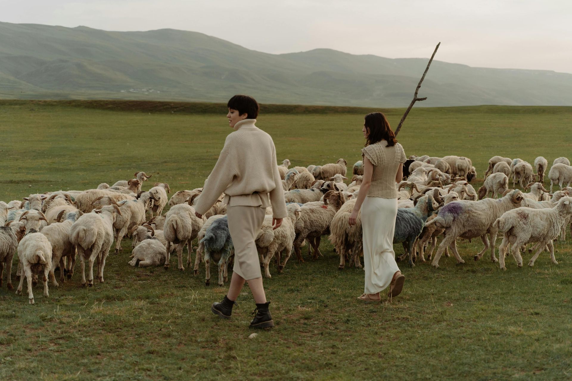 shepherds in a green field tending a lock of sheep