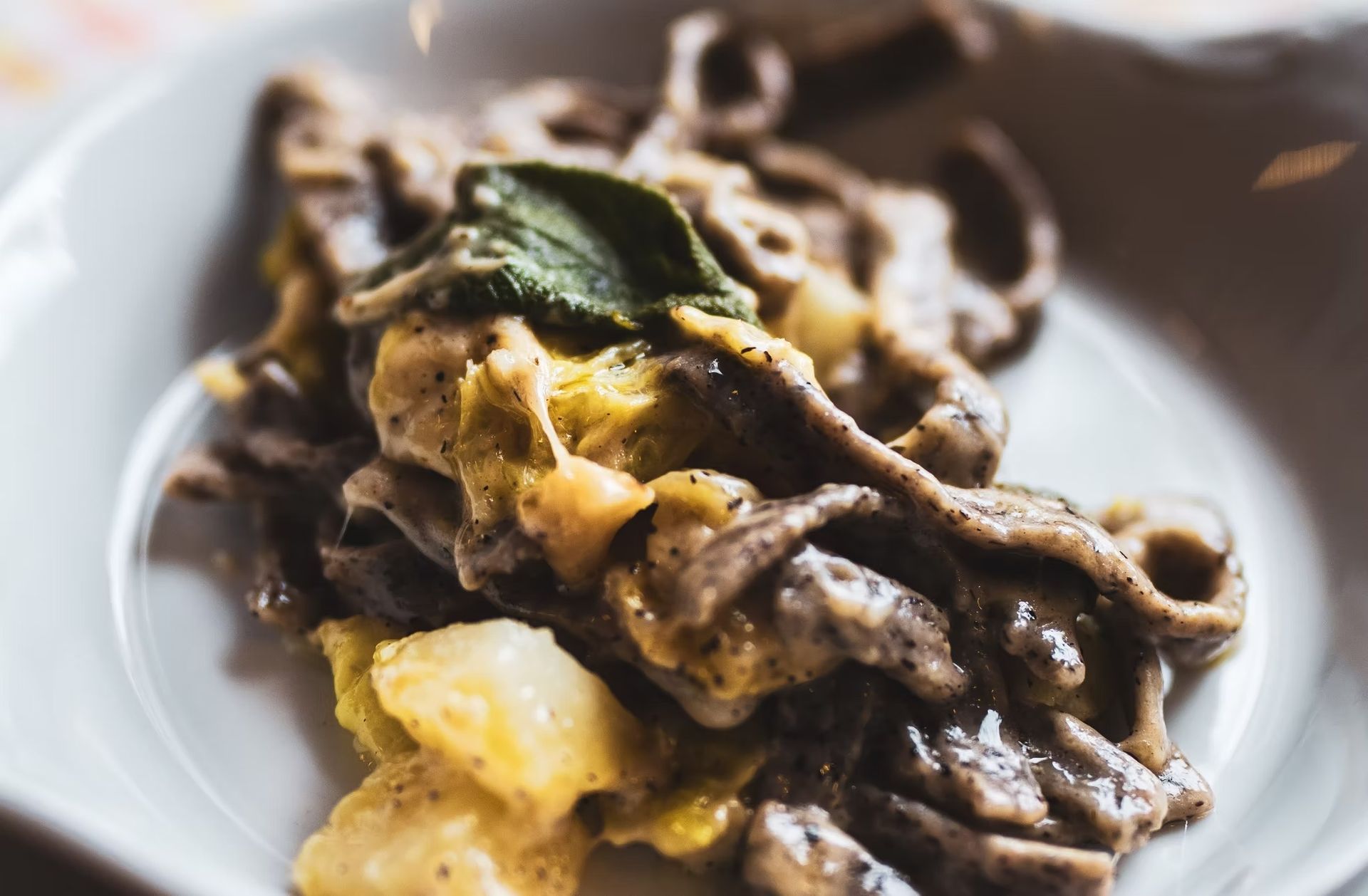 Piatto di pasta con tagliatelle scure, salsa cremosa ed erbe aromatiche, servito in una ciotola bianca.