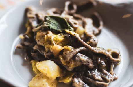 Piatto di pasta con salsa cremosa, guarnito con erbe aromatiche.