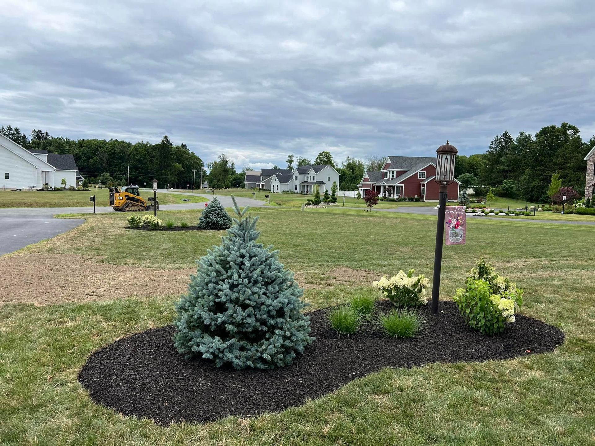 A lush green field with a few trees and bushes in the middle of it.