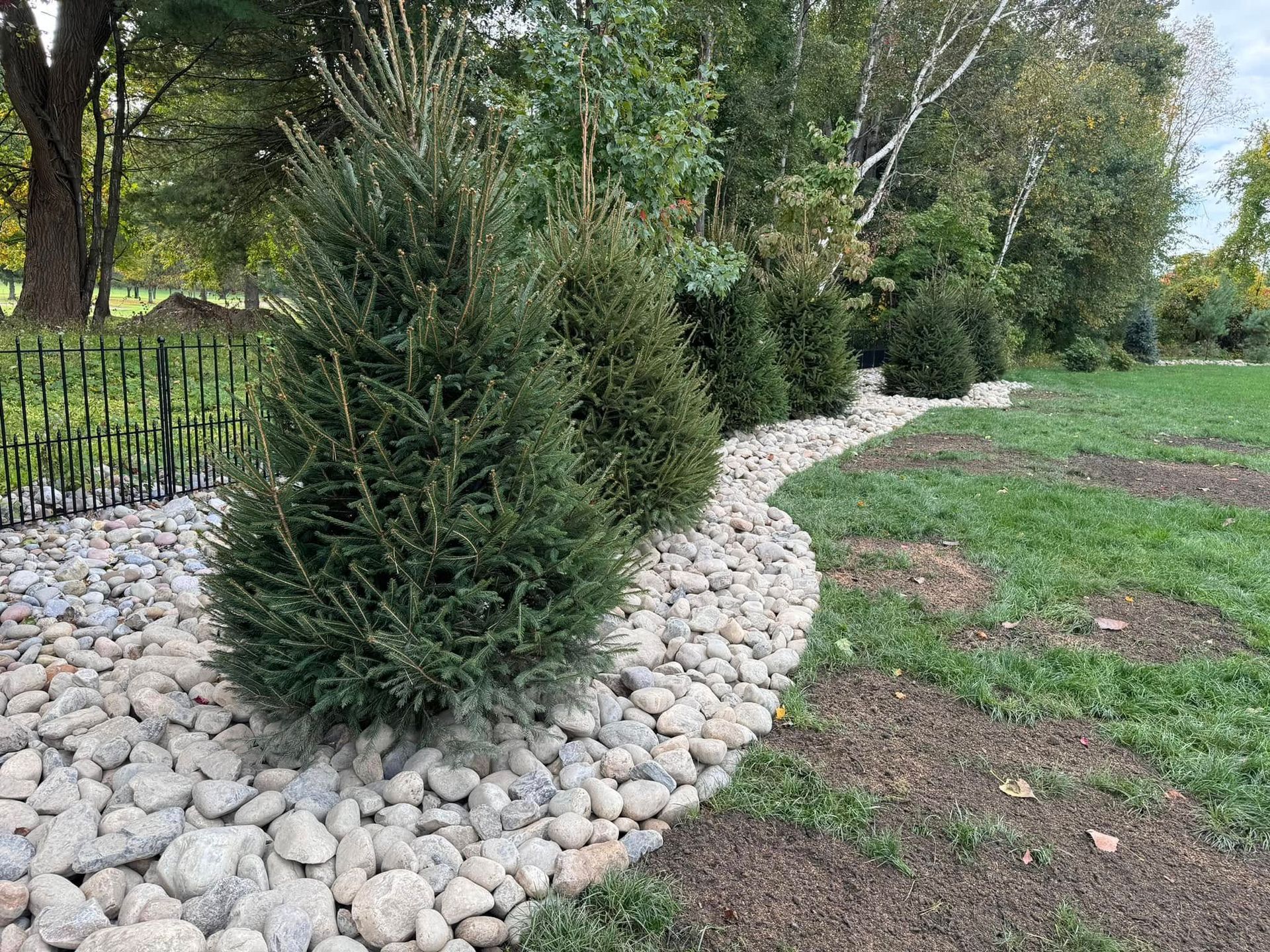 A path lined with rocks and trees in a park.
