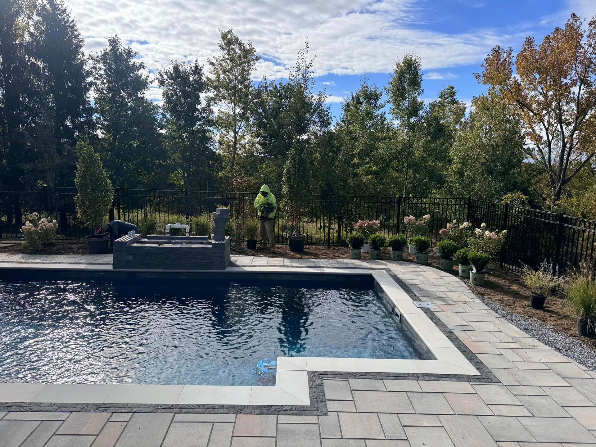A large swimming pool is surrounded by trees on a sunny day.