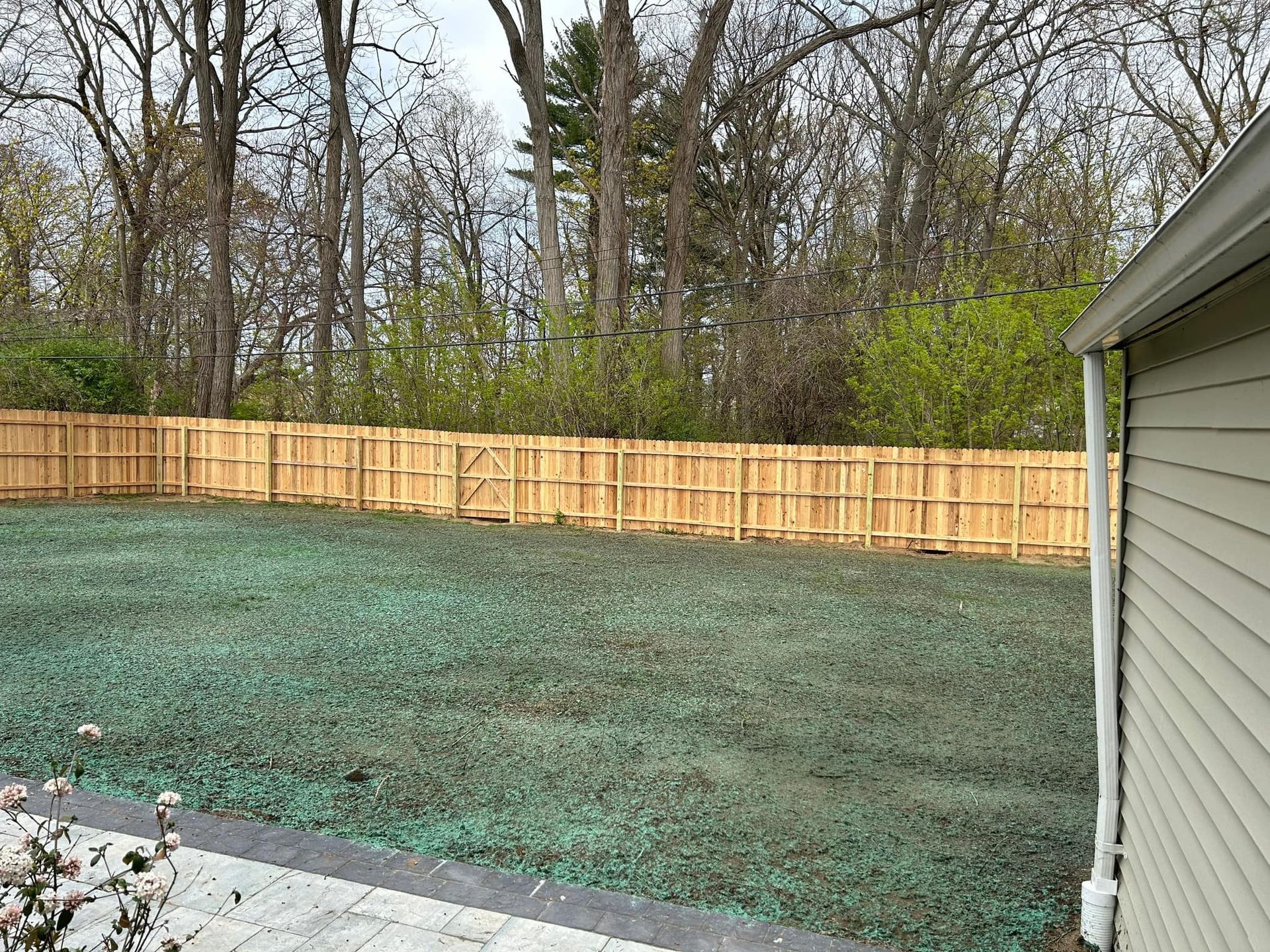 A backyard with a wooden fence and trees in the background.