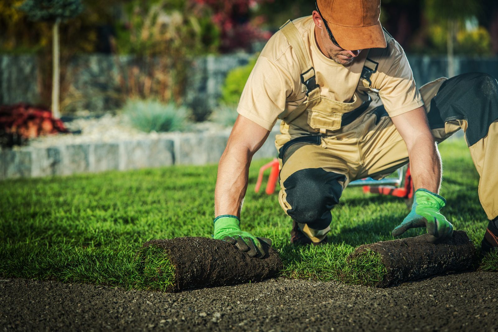 Man installing sod rolls on a lawn, wearing gloves and overalls.