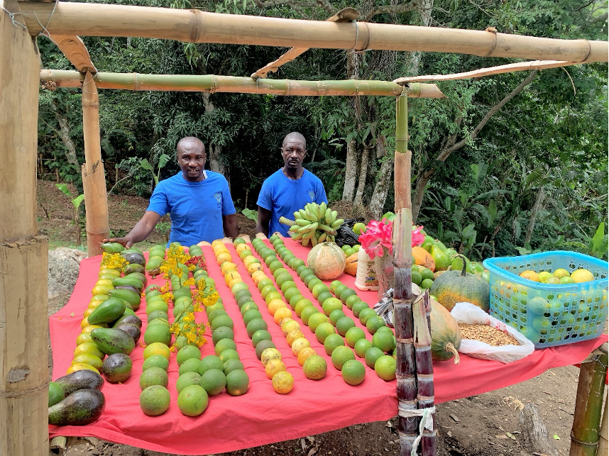 farmers field school