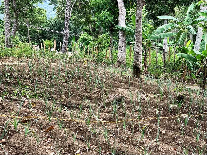 farmers field school